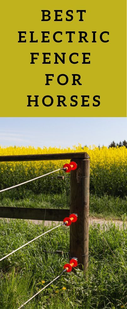 Electrobraid Horse Fencing, Electric Fence For Horses, Electric Fencing For Horses, Horseback Riding Helmets, Pipe Fence, Horse Paddock, Barn Hacks, Wire Fencing, Invisible Fence