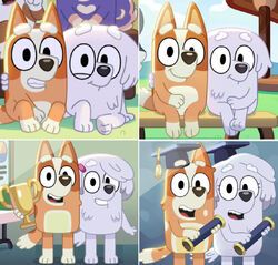 Bingo And Lila, Bandit And Chilli, Bingo Heeler, Bingo Funny, Cartoon Dogs, Bluey Bingo, Red Heeler, Storyboard Artist, This Is My Story