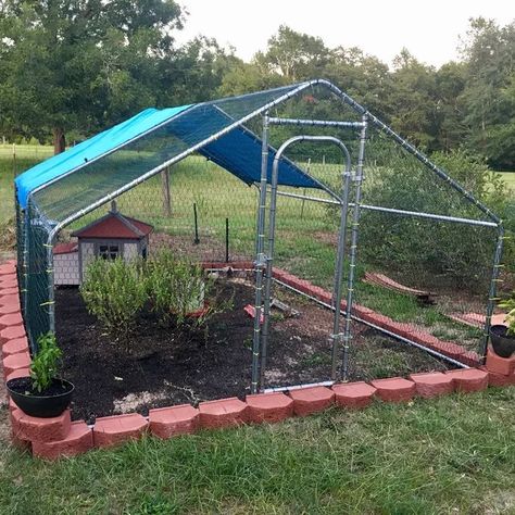 Holden Metal Walk-in Chicken Coop/Chicken Run with Waterproof Cover Goat Pen, Walk In Chicken Coop, Raising Quail, Duck Coop, Backyard Chicken Coop Plans, Diy Chicken Coop Plans, Coop Ideas, Backyard Chicken Farming, Chicken Run