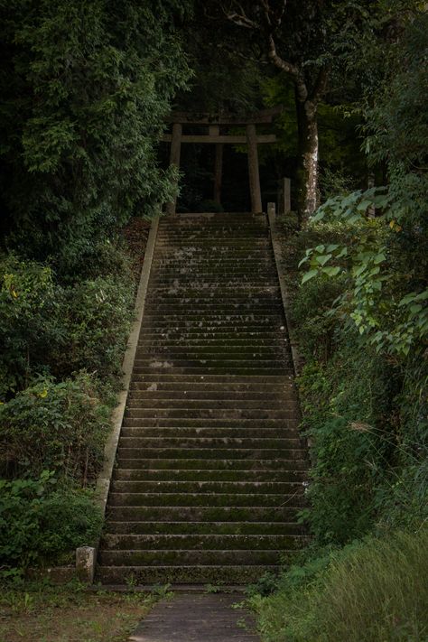 Japanese Cryptids, Abandoned Shrine Japan, Abandoned Japanese Temple, Shinto Aesthetic, Old Japanese Temple, Haunted Japan, Japanese Shrine Art, Japan Scary, Kitsune Shrine