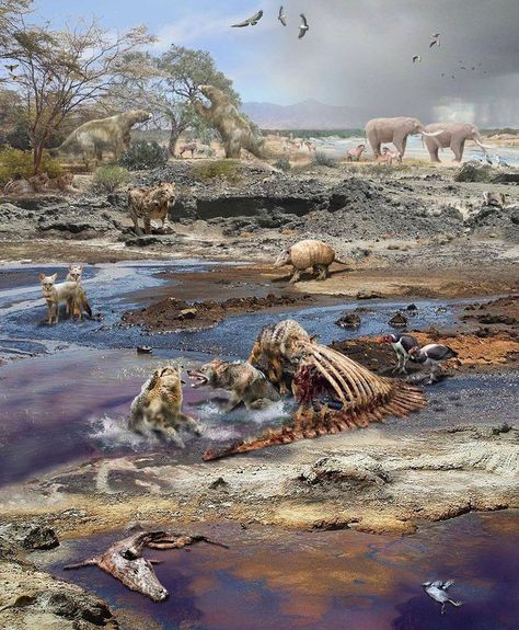 A reconstruction of the tar pits of Pampa la Brea in Piura, Chile during the late Pleistocene. La Brea Tar Pits, La Brea, Ancient Animals, Extinct Animals, Prehistoric Animals, Flora And Fauna, South America, All Pictures, Mammals