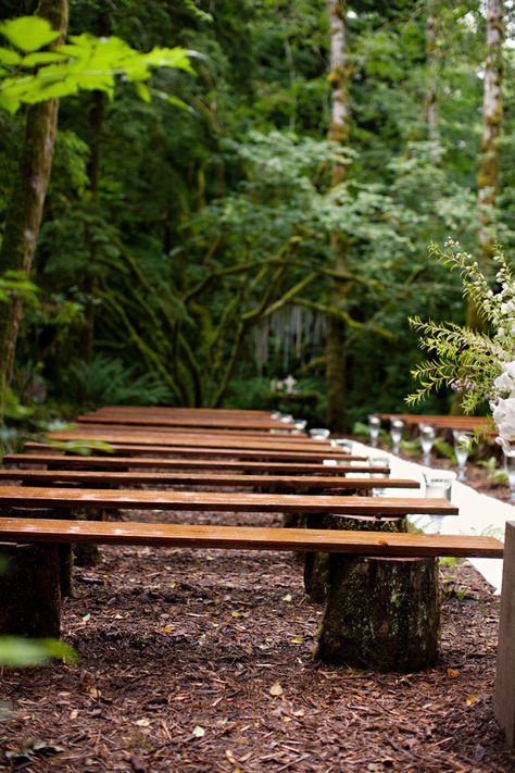 Might be a good alternative to our hay bale idea?! Rustic-Wood-Benches-Wedding-Ceremony Hay Bale Ideas, Rustic Purple Wedding, Wedding Bench, Rustic Wood Bench, Wedding Ceremony Seating, Wedding Autumn, Outdoor Trees, Ceremony Seating, Lesbian Wedding