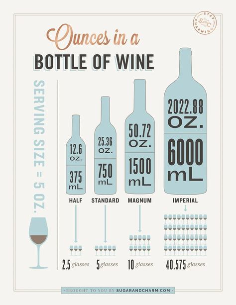 Everything you need to know about how many ounces are in a bottle of wine. This is a guide to the different types of wine bottles, glasses, wine pours, and the number of servings. Also, check out the different types of wine chart and our guide to serving wine. We're answering all of your common questions about wine! #Wine #ServingWine #OuncesinaWineBottle #winebottle Poinsettia Drink, White Wine Cocktail, Orange Juice Cocktails, Festive Holiday Drinks, Wine Chart, White Wine Sangria, Winter Entertaining, Christmas Dessert Table, Recipes For Winter