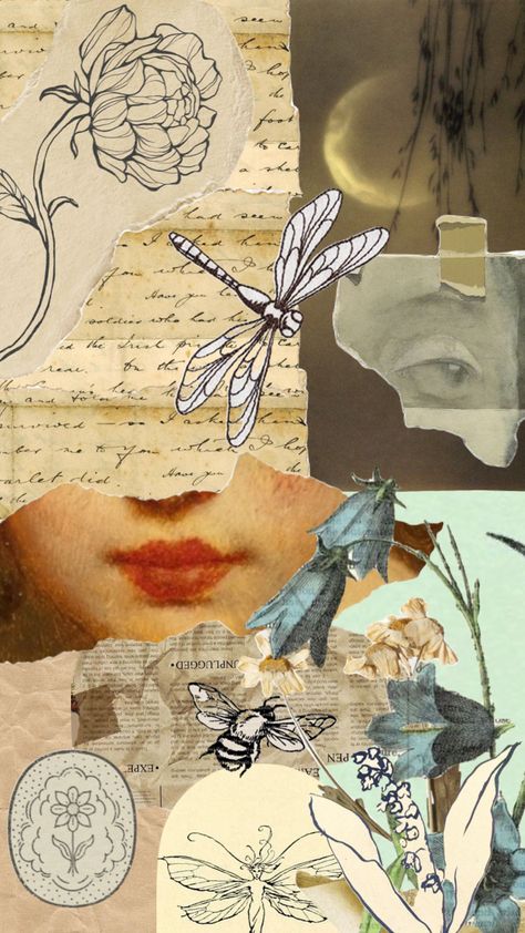 Dragonfly Aesthetic Wallpaper, Dragonfly Collage, Creepy Art, Aesthetic Wallpapers, Mood Board, Vintage World Maps, Collage, Pink, Art