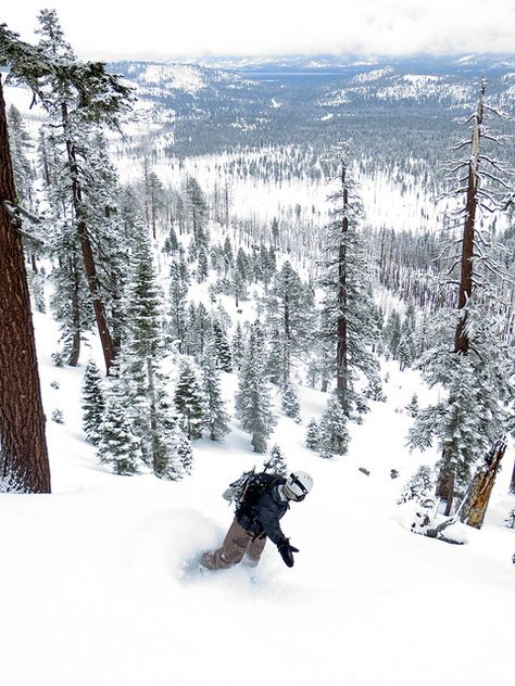 Echo Mermaid Backcountry, South Lake Tahoe | Photo by Ben Fish | snowzine.com Snow Surfing, Snow Fun, Vail Colorado, Mountain Life, South Lake Tahoe, Ski Gloves, Winter Sport, Snow Sports, Winter Adventure