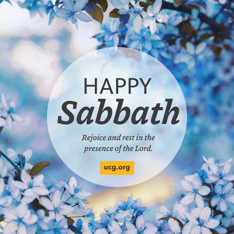 Let's thank God for the Sabbath—a time to rest and enjoy His blessings. Happy Sabbath, everyone! 😊 #HappySabbath #SabbathRest Happy Sabbath Blessings, Sabbath Greetings, Sabbath Rest, Presence Of The Lord, Happy Sabbath, Time To Rest, Thank God, Let It Be, Quick Saves