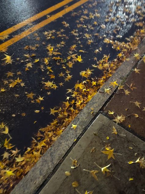 fall leaves, ground, rain, night, aesthetic Rain Night Aesthetic, Rain Night, Fall Rain, Rainy Night, Night Aesthetic, Fall Leaves, Autumn Leaves, Cowboy, Collage