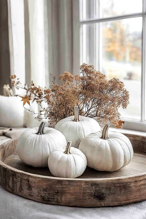 Fall Decor with Pumpkins: Versatile Ideas - Quiet Minimal White Pumpkins Decor, White Fall Aesthetic, Chic Fall Decor, White Pumpkin Centerpieces, Simple Fall Decor, White Pumpkin Decor, Fall Apartment Decor, Outdoor Fall Decor, Modern Fall Decor