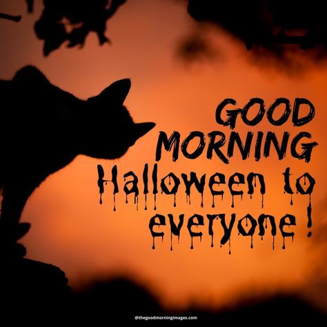 Good Morning Happy Halloween Quotes, Good Morning Happy Halloween, October Greetings, Good Morning Halloween, Funny Qotes, Halloween Funnies, Happy Halloween Gif, Happy Halloween Quotes, Memes 2022