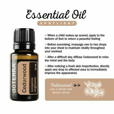 cedarwood Cedarwood Essential Oil Uses, Cedar Wood Essential Oil, Doterra Blends, Doterra Essential Oils Recipes, Oil Remedies, Essential Oils Health, Cedarwood Oil, Patchouli Oil, Cedarwood Essential Oil