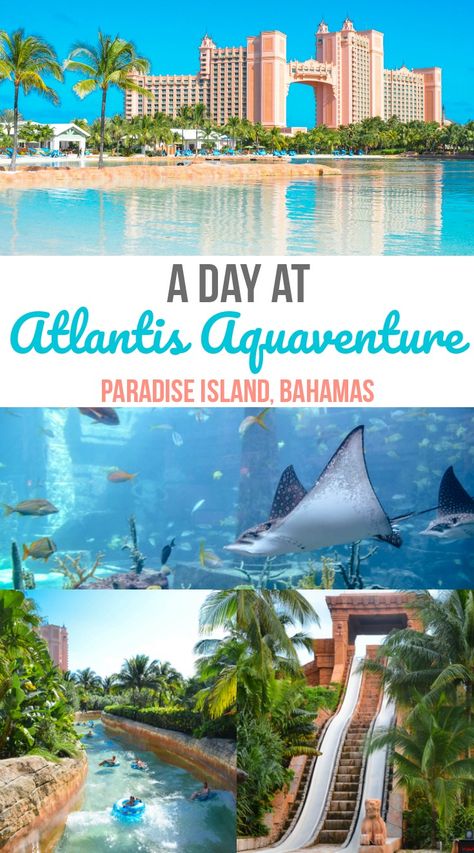 If you're visiting Atlantis in the Bahamas by cruise ship, or are staying off-site, you can buy an Atlantis day pass for Atlantis Aquaventure. Here's our experience. Bahama Vacation, Bahamas Eleuthera, Atlantis Aquaventure, Atlantis Resort Bahamas, Bahama Cruise, Las Bahamas, Bahamas Trip, Bahamas Honeymoon, Paradise Island Bahamas