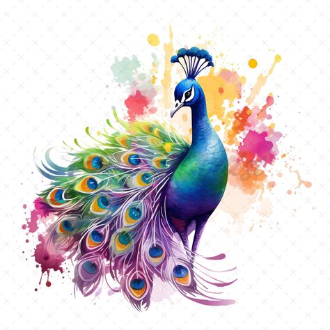 "20 High-Quality Rainbow Peacock Clipart - Peacock digital watercolor JPG instant download for commercial use - Digital download This set includes: * 20 individual files (JPG files, 5-6 inch, 2000px x 2000px) License: When you acquire products from ClipartArtist, you are consenting to our terms of use, which grant you the freedom to utilize them for both personal and commercial purposes. Welcome to the world of artistry and inspiration, where creativity knows no bounds. Our \"Watercolor Clipart\ Peacock Clipart, Peacock Watercolor, Rainbow Peacock, Watercolor Peacock, Watercolor Branding, Monkey Tattoos, Picture Stand, Digital Elements, Beautiful Greeting Cards