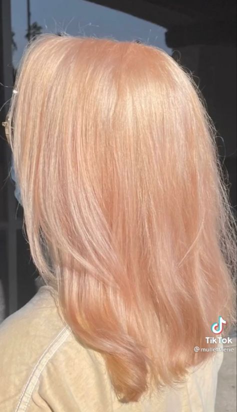 from @ mulletfaerie on tiktok!! Peach Hair Color Ideas, Peachy Blonde Hair, Peach Hair Colors, Bob Hair Color, Strawberry Blonde Hair Color, Strawberry Hair, Peach Hair, Ginger Hair Color, Strawberry Blonde Hair