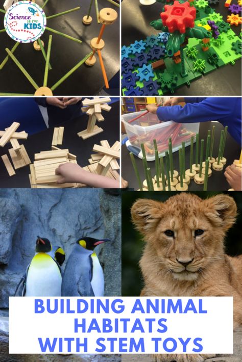 Animal Habitats Preschool, Learning About Animals, Used Legos, Stem Ideas, Animal Adaptations, Albino Animals, Love Learning, Stem Challenges, Animal Activities