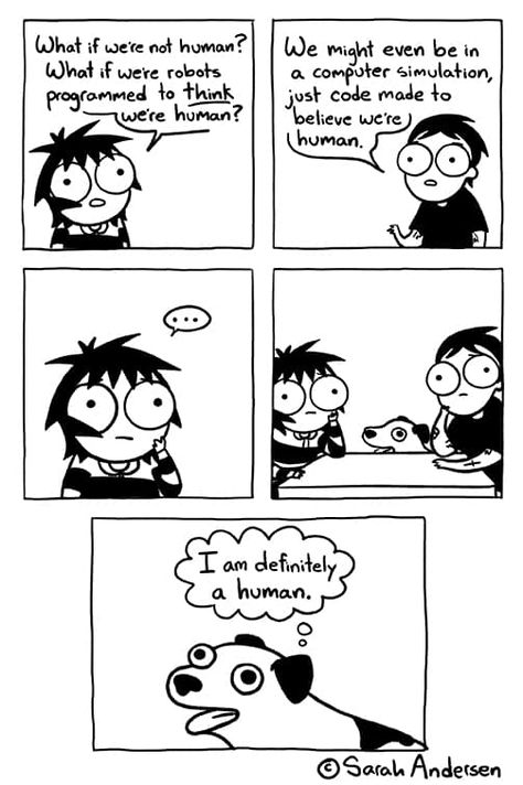 Saras Scribbles, Sarah Anderson Comics, Phd Comics, If Dogs Could Talk, Sarah's Scribbles, Sarah Andersen, Sarah Anderson, 4 Panel Life, Online Comics