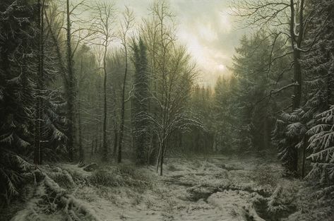 Snowy Forest on a Winter Morning, Michael Handt on ArtStation at https://www.artstation.com/artwork/4brVPl Winter Forest Fantasy Art, Snowy Forest Art, Snowy Forest Background, Dual Monitor Wallpaper, Types Of Fiction, Lego Wallpaper, Dark Snowy Forest Aesthetic, Creepy Snowy Forest, Snowy Forest