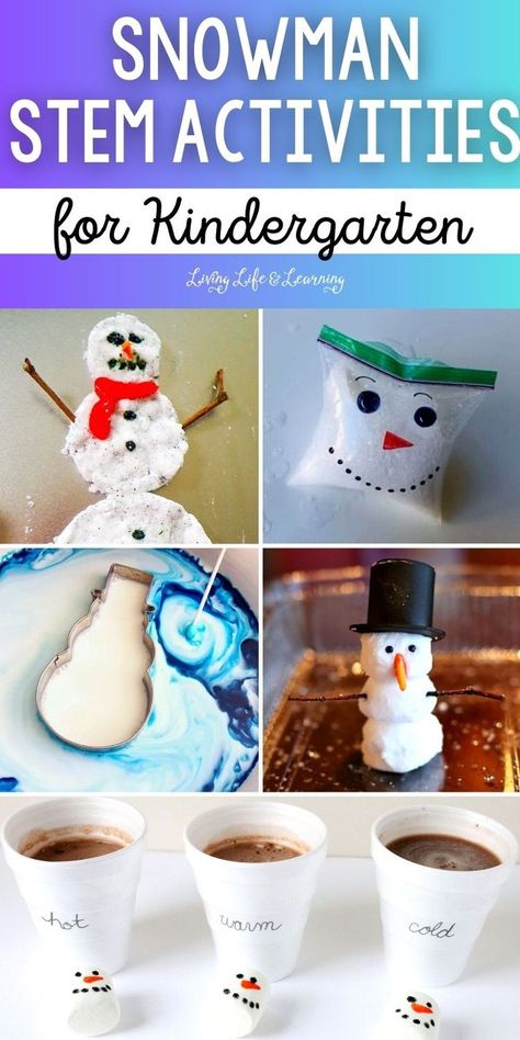 Snowman STEM Activities for Kindergarten Stem Activities For Kindergarten, Kindergarten Science Curriculum, Kindergarten Science Experiments, Snowman Activities, Simple Snowman, Winter Stem, Winter Stem Activities, Cool Science Projects, Stem Activities Kindergarten