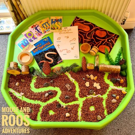 Worm Tuff Tray Ideas, Superworm Eyfs, Superworm Activities Eyfs, Worm Activities, Minibeasts Eyfs, Worms Preschool, Soil Activities, Bug Activities, Mini Beasts