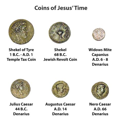 What is a denarius, a shekel, a stater and a widow's mite? Widows Mite Craft, The Widows Mite, Kids Craft Work, Jesus Miracles, Widows Mite, Bible Dictionary, Bible Questions, Easter Week, The Gospels