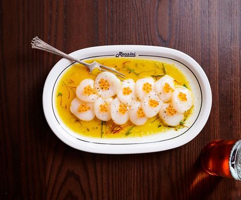 Scallop crudo recipe with citrus dressing Scallop Crudo, Sashimi Salad, Fresh Scallops, Avocado Creme, Seafood Menu, Citrus Dressing, Ceviche Recipe, Scallop Recipes, Dinner Party Ideas