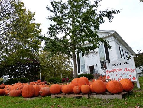 Pumpkin sale in Chatham - one of the best small towns in Massachusetts Places To See In Massachusetts, Quaint Towns In Massachusetts, Massachusetts Small Towns, Sleepy Hollow Cemetery, Chatham Massachusetts, Barnstable Massachusetts, Somerville Massachusetts, Walden Pond, Sturbridge Village