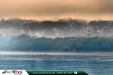 Sangha River, Africa:  |    The #Sangha #River, a tributary of the #Congo River, is located in #Central #Africa.  |    Source: https://en.wikipedia.org/wiki/Sangha_River  |    #sanghariver #photo #tourism #flights #travel #travelphotography #travelafrica #travelblog #traveldiaries #bookonline #airafrica #africantravel #flightstoafrica #cheapflights #cheapflightstoafrica #travelagentsinuk  |    #African #TravelExperts: http://www.airafrica.co.uk/ Congo River, Morning Fog, Africa Do Sul, Democratic Republic Of The Congo, Luxor Egypt, Dr Congo, African Countries, Africa Travel, Fishing Trip