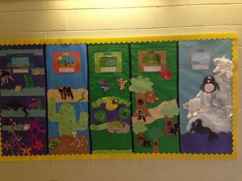 Habitat Bulletin Board!! Ecosystems Bulletin Board, Ecosystem Bulletin Board, Habitat Bulletin Board Ideas, Habitats Bulletin Board, Habitats Preschool, Teaching Habitats, Creative Curriculum Preschool, Bear Habitat, Animal Habitat