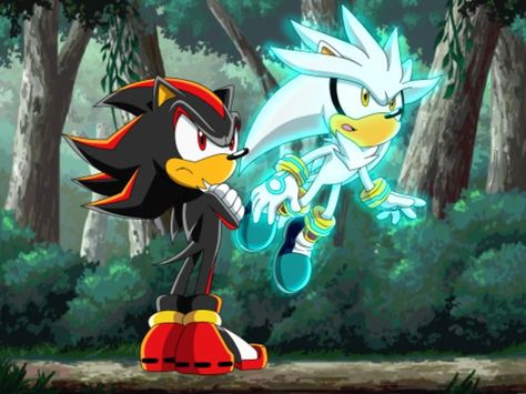 Sonic X fan screenshots to post on random sites as blurry images and calling it "lost episodes". | Fandom Shadow And Silver, Sonic X Shadow, Style Fanart, Honey The Cat, Blurry Images, Lost Episodes, Sonic X, Sonic Heroes, Silver The Hedgehog