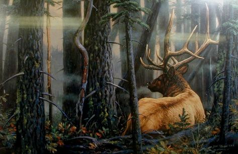 Elk Pictures, American Wildlife, North American Wildlife, Bull Elk, Hunting Art, Wildlife Paintings, Wildlife Artists, Whitetail Deer, Country Art