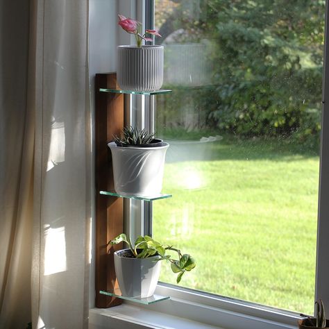 Swipe ➡️ to add plants to our window shelf! #danielsplants #renterfriendly #plantdecor #renterfriendlydecor #greenthumb Shelf Kitchen Window, Window For Plants, Plant Shelf Kitchen, Window Sill Plant Shelf, Window Shelves For Plants, Window Sill Plants, Shelves For Plants, Window Shelf For Plants, Window Plant Shelf