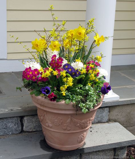 Spring Pots, Spring Containers, New Guinea Impatiens, Spring Planters, Purple Pansies, Spring Planter, Container Planting, Garden Container, Container Garden Design