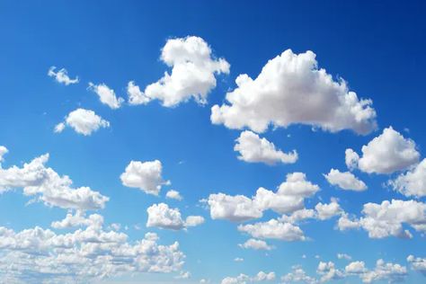 Photo Shoot Backdrop, Shoot Backdrop, Hd Sky, Rainbow Backdrop, Sky Images, Microsoft Azure, तितली वॉलपेपर, Curious Kids, Muslin Backdrops