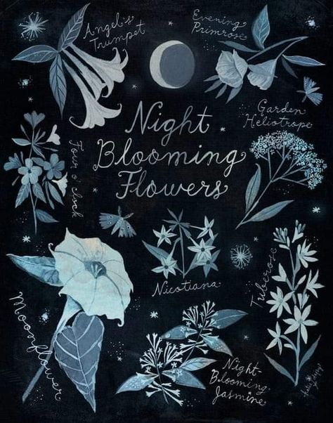 Night Flowers Tattoo, Night Garden Tattoo, Moon Garden Tattoo, Night Blooming Flowers Tattoo, Whimsigoth Flowers, Night Flower Tattoo, Night Shade Flower, Moon Flower Art, Nocturnal Flowers