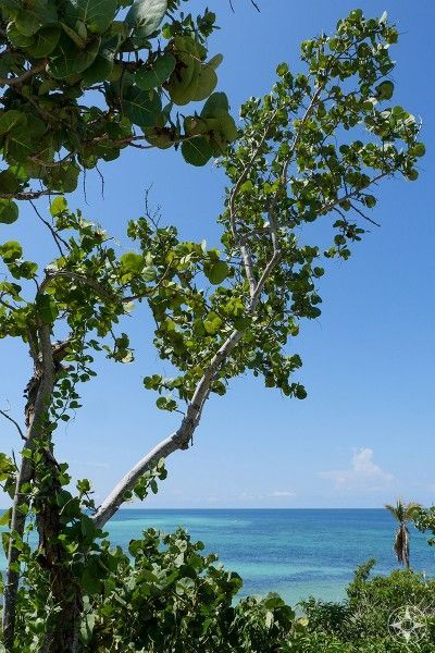 Green And Blue Aesthetic, Green Blue Aesthetic, Green And Blue Wallpaper, Summer Widgets, Abandoned Railway, Bahia Honda State Park, Florida Keys Beaches, Rivers And Roads, Florida State Parks