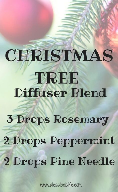 Holiday Diffuser Blends, Pine Needle Essential Oil, Christmas Diffuser Blends, Smells Like Christmas, Wintergreen Essential Oil, Essential Oil Combinations, Essential Oil Diffuser Blends Recipes, Ginger Essential Oil, Essential Oil Diffuser Recipes