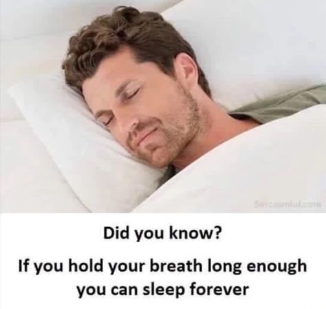 Dank funny meme about how you can sleep forever if you hold your breath long enough. Nap Meme, Sleeping Facts, Party Meme, Driving Fast, Mister V, Party Quotes, College Professor, Girl Friend, Manado