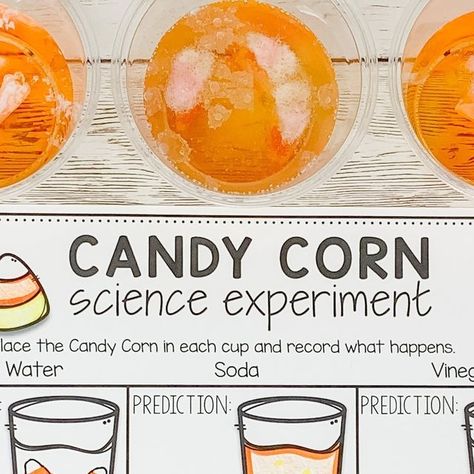 TPT on Instagram: "Make science sweet! 🍬 @theprimaryparade shows us how: "This fun fall science activity is sure to get your little ones excited during your Halloween themed lessons.⁣⁣ ⁣⁣ Be sure to gather the following items:⁣⁣ 🎃 Science experiment worksheet (3 variations are included)⁣⁣ 🎃 Candy Corn⁣⁣ 🎃 1 cup of hot water⁣⁣ 🎃 1 cup of soda⁣⁣ 🎃 1 cup of vinegar⁣⁣" Snag this worksheet at the link in our bio 🔗" Candy Corn Stem Activity, Candy Corn Science Experiment, Candy Corn Experiment, Candy Corn Science, Science Experiment Worksheet, Fall Science Activities, Fall Science, Halloween Stem, Science Activity