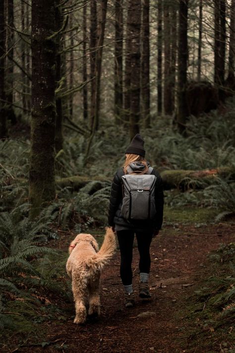 Hiking Photography, Door Entrance, Dog Photoshoot, Hiking Dogs, Farmhouse Front, Adventure Aesthetic, Entrance Design, Dog Adventure, Wild Adventures