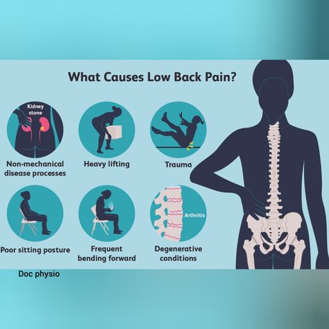 Most common problem now days in all age groups . Why so common ? Physical Therapy Quotes, Spinal Health, Doctor Of Physical Therapy, Sports Therapy, Therapy Quotes, Medical Logo, Notice Board, Workout Tips, Gym Workout Tips