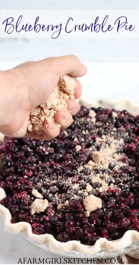 One Crust Blueberry Pie, Blueberry Crumb Pie Recipe, Blueberry Pie With Crumb Topping, Pie Crumble Topping, Blueberry Crumb Pie, Strudel Topping, Blueberry Crumble Pie, Blueberry Pies, Pie Store