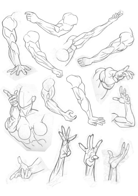 More Arms And Hands by Bambs79 on DeviantArt How To Draw Arms, Fashion Sketch Template, Male Reference, Arm Drawing, Anatomy References, Anatomy Practice, Comic Book Drawing, Human Figure Sketches, Arm Art