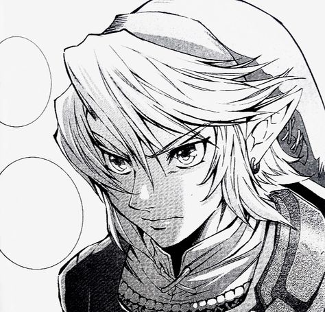 #link #twilightprincess #legendofzelda #manga Link Tp Manga, Zelda Manga Panels, Link Manga Icon, Link Twilight Princess Manga, Link Profile Picture, Link Icon Zelda, Loz Manga, Zelda Pfp, Legend Of Zelda Manga