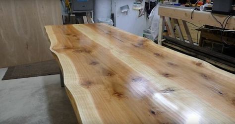 I found out through a friend that a sequoia tree had been removed by the city and taken to a local miller. I was able to get my hands on two book matched pieces of it and thought they would make a great live edge wooden dining table. I would have to join them together to create the proper width, but I was up to the challenge. While live edge furniture has always been in style, it’s very hot right now and I was excited by the idea of making my own. If you love the look, follow along and… Love Edge Dining Table, Dining Table Diy, Live Edge Counter, Live Edge Table Tops, Diy Privacy Fence, Build A Farmhouse Table, Rental Ideas, General Finishes Milk Paint, Bar Tops