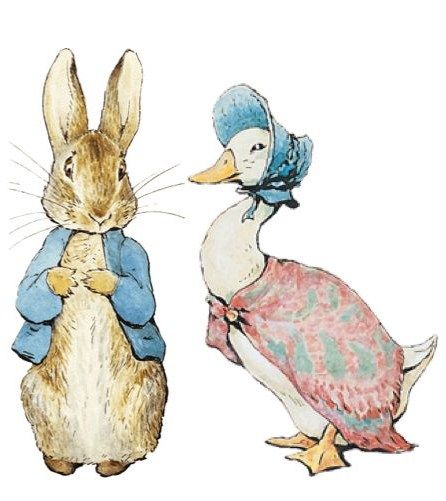 Beatrix Potter Peter Rabbit Illustration, Jemima Puddle Duck, Beatrix Potter Illustrations, Peter Rabbit Cake, Beatrice Potter, Puddle Duck, Peter Rabbit Birthday, Peter Rabbit Party, Peter Rabbit And Friends