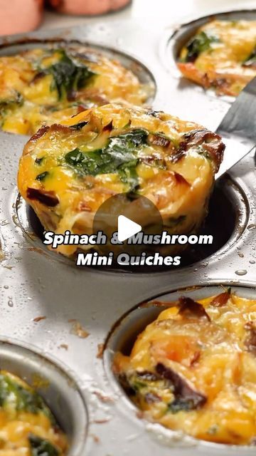 EatingWell on Instagram: "Here’s what one fan had to say about our Muffin-Tin Spinach & Mushroom Mini Quiches from @lizmervosh: “loved these! I’m not typically a big quiche fan, don’t know why, just never liked them. But these? These are fantastic.”

Ingredients
- 2 tablespoons extra-virgin olive oil
- 8 ounces fresh mixed wild mushrooms (such as oyster and shiitake), sliced
- 1 cup thinly sliced yellow onion 
- 1 tablespoon minced garlic
- 2 teaspoons minced fresh thyme
- 1 (5 ounce) package fresh spinach, coarsely chopped
- 8 large eggs
- ⅔ cup whole milk
- 2 teaspoons Dijon mustard
- ½ teaspoon salt
- ½ teaspoon ground pepper
- ¾ cup shredded Gruyère cheese

Directions
1. Preheat oven to 325 degrees F. Heat oil in a large nonstick skillet over medium-high heat. Add mushrooms in an even Mini Quiches In Muffin Tin, Spinach And Mushroom Quiche, Mini Egg Quiches In Muffin Tin, Spinach Feta Mushroom Quiche, Spinach Mushroom Quiche With Crust, Spinach And Mushroom Quiche Crustless, Mushroom And Spinach Quiche, Muffin-tin Spinach & Mushroom Mini Quiches, Quiche Muffins