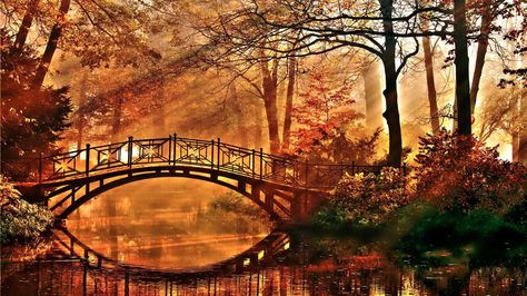 Autumn Fall Cover Photos, Fall Desktop Backgrounds, Autumn Bridge, Google Backgrounds, Fall Background Wallpaper, Bridge Wallpaper, Autumn Leaves Wallpaper, Haha Photos, Autumn Lake