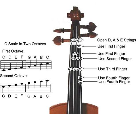 C Major Scale -Two Octave Violin Fingering Chart, Violin Scales, Violin Teaching, Violin Practice, Violin Instrument, Not Musik, Learn Violin, Violin Lessons, Cello Music