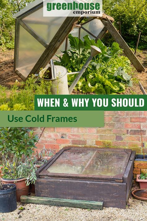 Propped up cold frame and simple wooden cold frame with the text in the middle: When and Why you should use cold frames Cold Box Gardening, Coldframe Ideas, Cold Frame Ideas, Coldframe Greenhouse, Greenhouse Emporium, Build A Cold Frame, Diy Cold Frame, Greenhouse Accessories, Culinary Garden