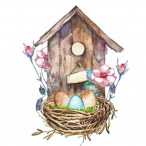 Watercolor birdhouse with spring flowers... | Premium Photo #Freepik #photo #flower #watercolor #heart #design Birdhouse Drawing, Watercolor Birdhouse, Cute Birdhouse, Hand Painted Birdhouses, Bird Houses Painted, 수채화 그림, Funny Birds, Spring Easter Decor, Watercolor Dog