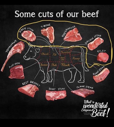 Meat Cuts Chart, Beef Cuts Chart, Pasta Recipes Easy, Meat Ideas, Steak Dinner Recipes, Meat Butcher, Cuts Of Beef, Meat Restaurant, Rump Steak